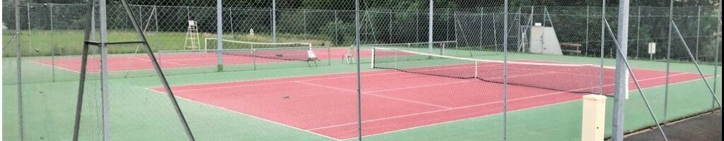 Une rentrée sous le signe du renouveau au Tennis Club Savignois